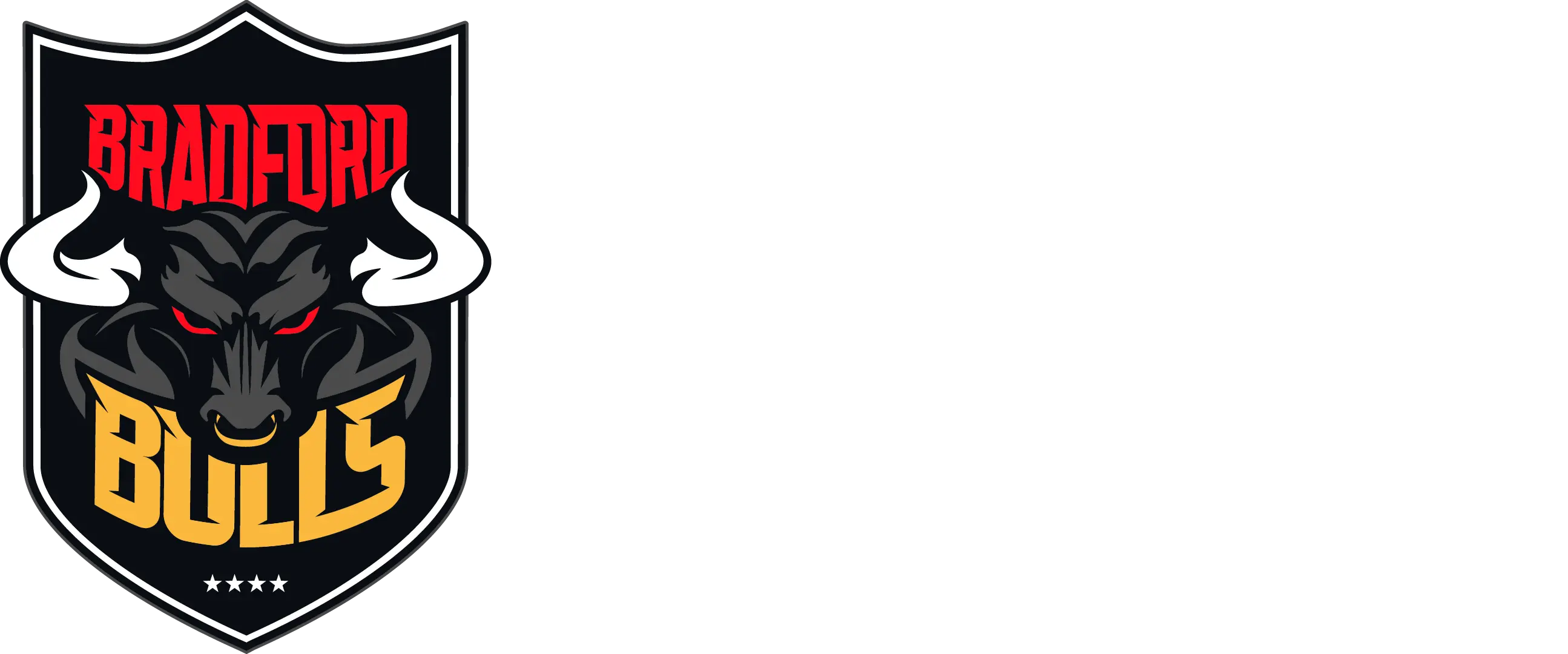 Bradford Bulls Foundation Logo